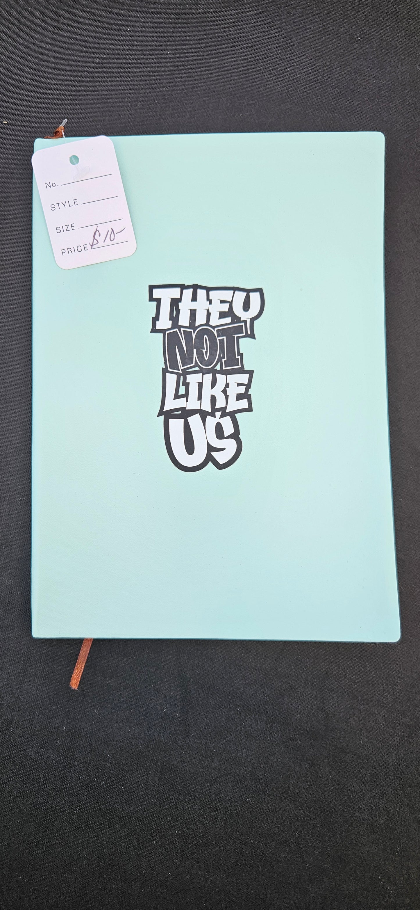 "They Not Like Us" Journal